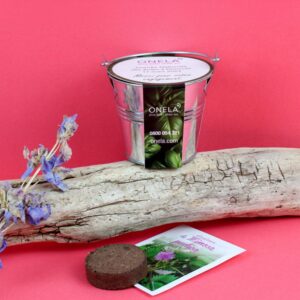 KIT DE PLANTATION
