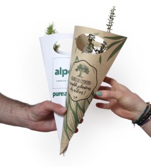 PLANT D'ARBRE EN CORNET KRAFT