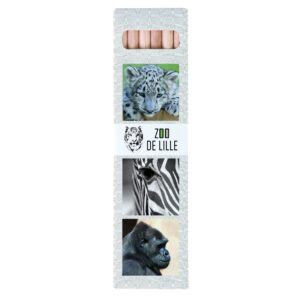 ETUI DE 6 CRAYONS