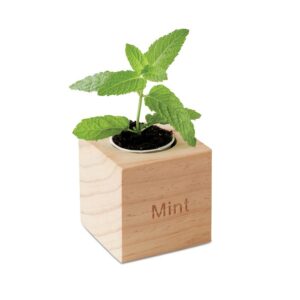 POT BOIS MENTA