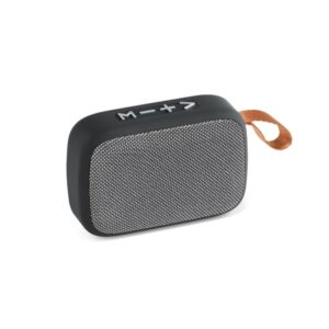 ENCEINTE AVEC MICRO GANTE