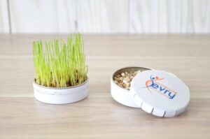 BOITE CLIC CLAC AVEC GRAINES