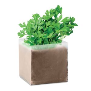 SAC AVEC DES GRAINES DE PERSIL PARSELY