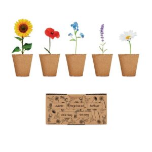 KIT DE CULTURE DE FLEURS FLOWERS