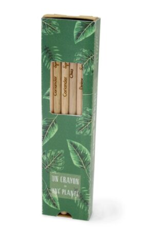 COFFRET 6 CRAYONS A GRAINES COULEUR