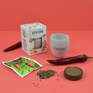 KIT DE PLANTATION OEUF