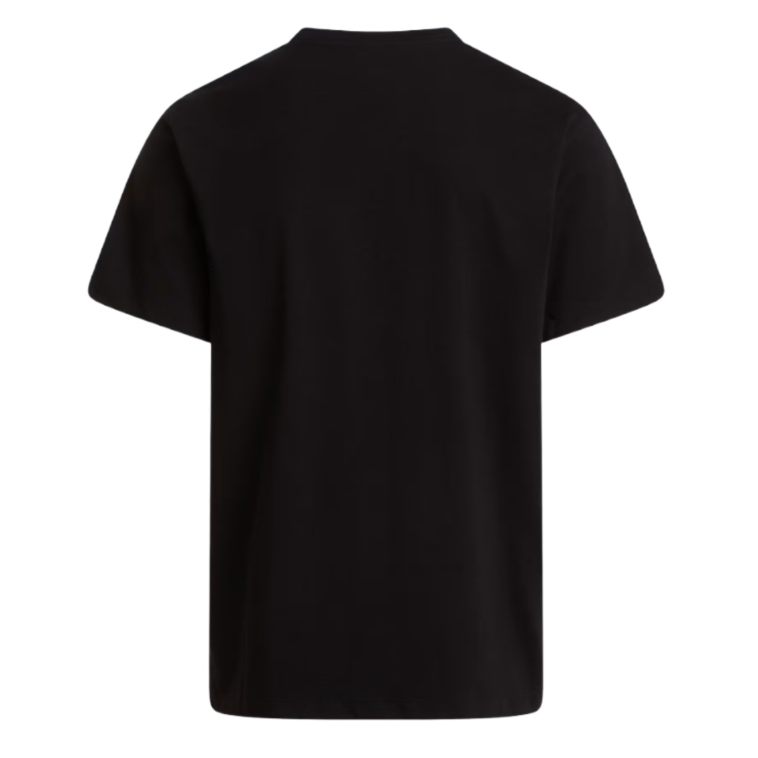 T-SHIRT EVOLUTION SIMPLE DOME REGULAR THE NORTH FACE – Image 4